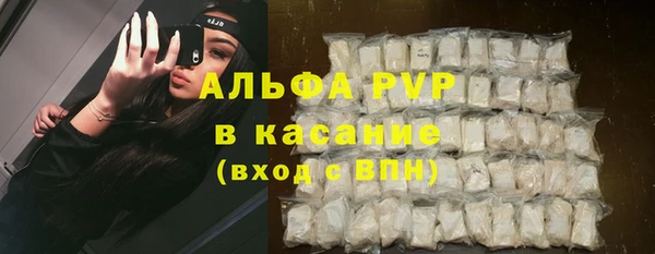 мяу мяу мука Алзамай