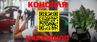 прущие крисы Донской