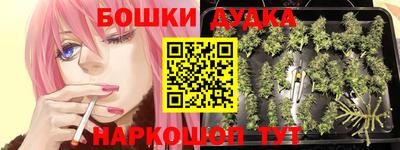 индика Дубна