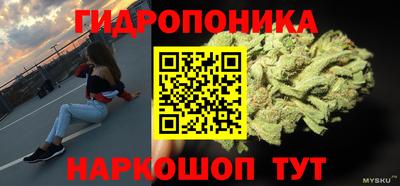 индика Дубна