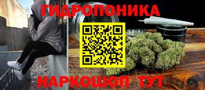 прущие крисы Донской