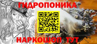 индика Дубна