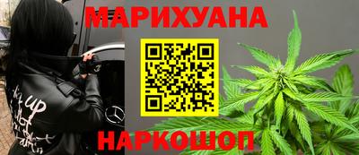 индика Дубна
