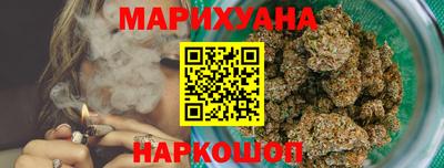 индика Дубна
