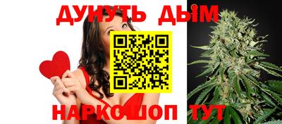 индика Дубна