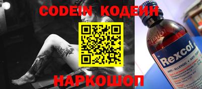 индика Дубна