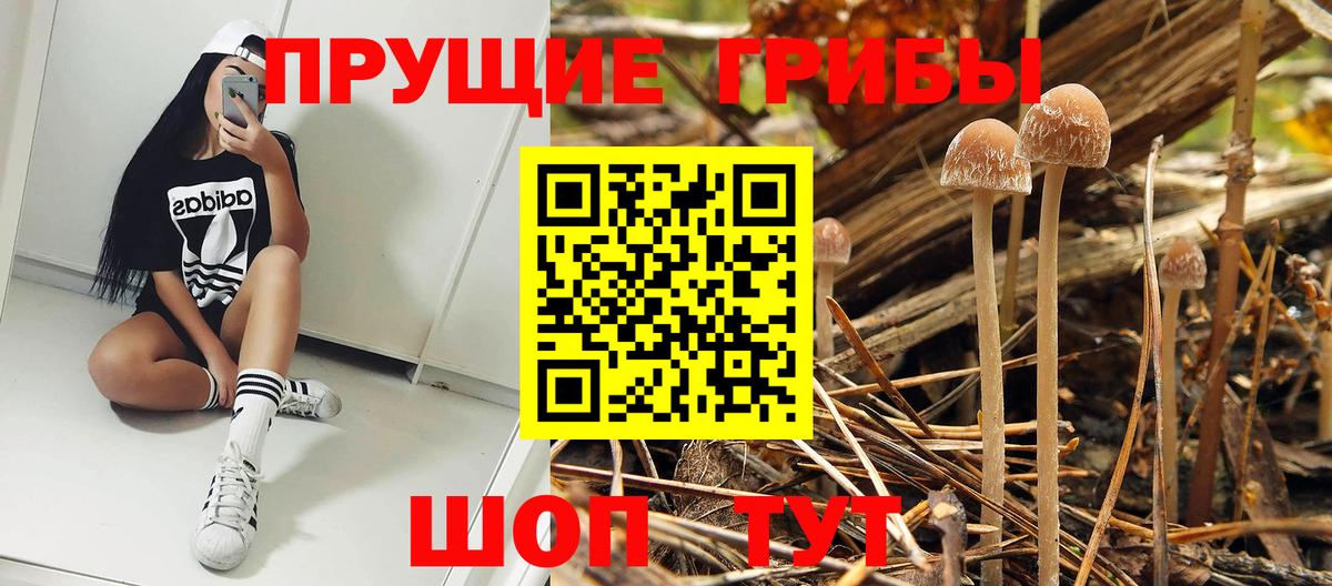Галлюциногенные грибы Cubensis  Псилоцибиновые грибы Cubensis  Вход с VPN  Фролово 