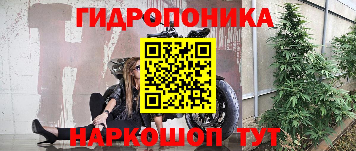 Бошки марихуана Amnesia Фролово