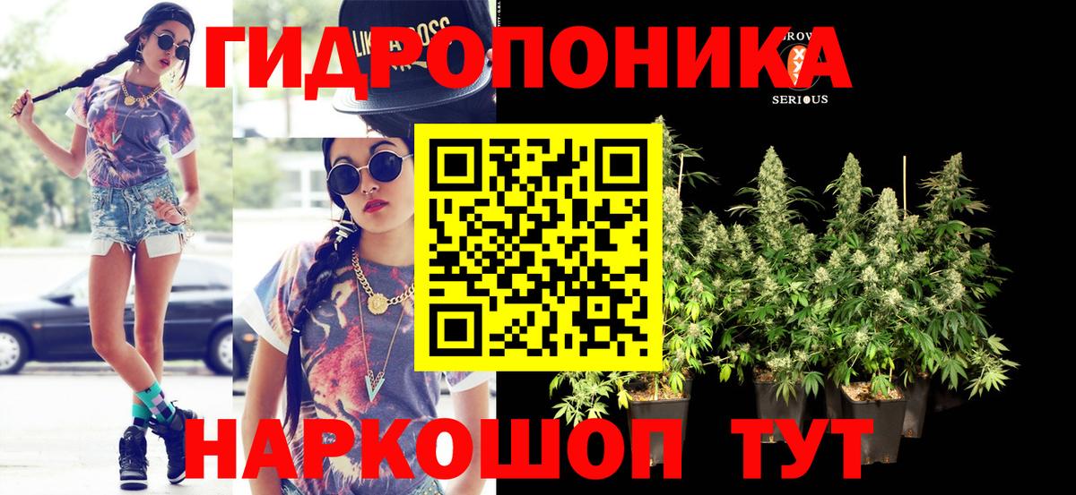 Марихуана Ganja  Бошки Шишки тримм  Вход с VPN  Фролово  Канабис MAZAR 